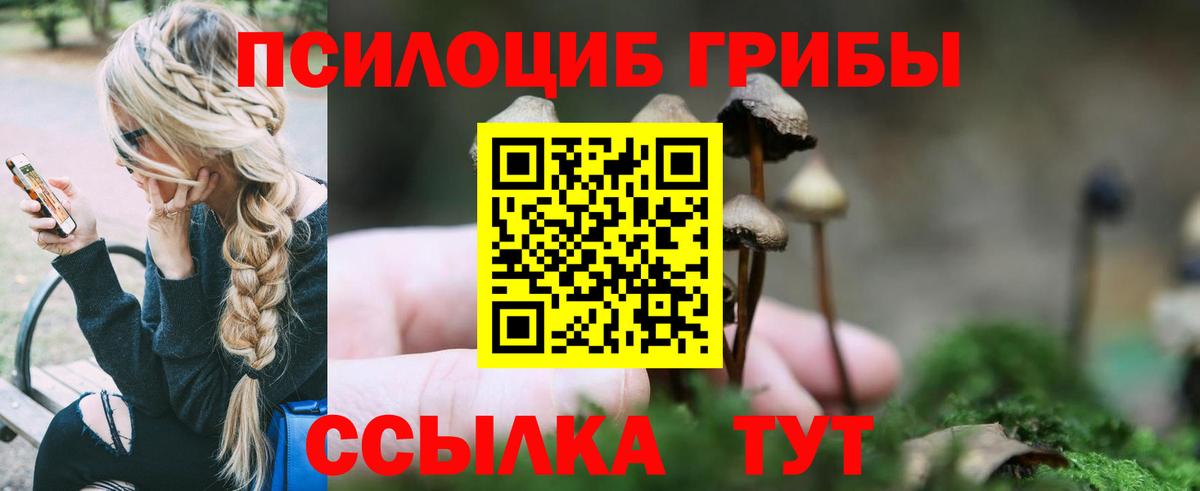 Галлюциногенные грибы Magic Shrooms  Вход с VPN  Псилоцибиновые грибы мухоморы  Алексин 